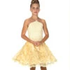 JERRY'S 147 GOLD DUST DANCE DRESS
